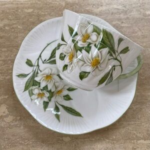 Floral Green and White Tea Cup and Saucer Set